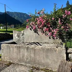 Quinta Essenza , Casoni Zanolla Italia